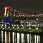 Private Tokyo Night Tour - Authentic Experiences and Tips from Reviewers