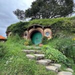 Private Tour from Auckland Hobbiton Movie Set and Te Puia Magic - What Reviewers Say