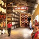 Private Tour from Montego Bay to Appleton Estate and YS Falls - Who Should Consider This Tour?