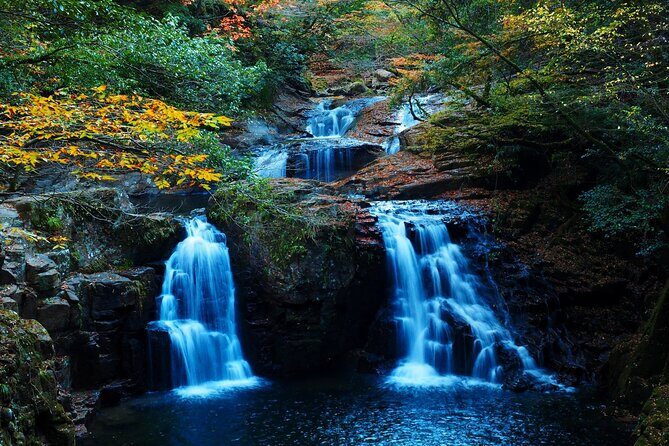Private Tour From Nagoya: Akame 48 Falls & Soni Highlands Hike - Who is This Tour Best For?