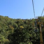 Private Tour: Mutianyu Great Wall and Forbidden City - Food and Shopping Opportunities