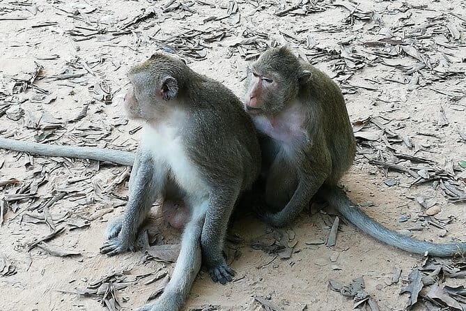 Private Tour to Koh ker and Beng Mealea Temple from Siem Reap - What’s Included and What to Expect