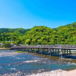 Private Tour to Monkey Park and Arashiyama Highlights - The Journey Begins: Meeting Your Guide