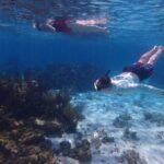 Private Tour to Stingray City & Snorkeling at Coral Gardens - The Itinerary: A Deep Dive into What You Can Expect