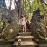 Private Tours: Tegallalang With Monkey Forest And Water Fall - The Value of the Experience