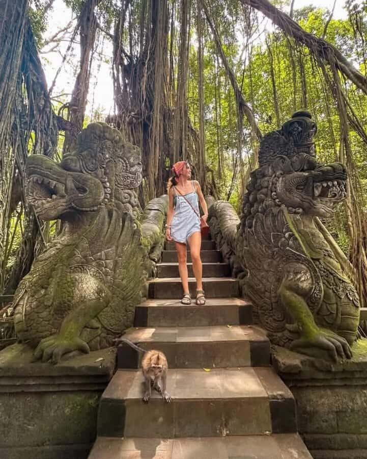 Private Tours: Tegallalang With Monkey Forest And Water Fall - The Value of the Experience