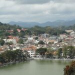 Private Transfer from Sri Lanka Colombo Airport (CMB) to Yala - Why This Transfer Works for Different Types of Travelers