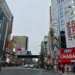 Private Trip to Sightseeing Spots in Eastern Tokyo. - Authentic Insights from Other Travelers