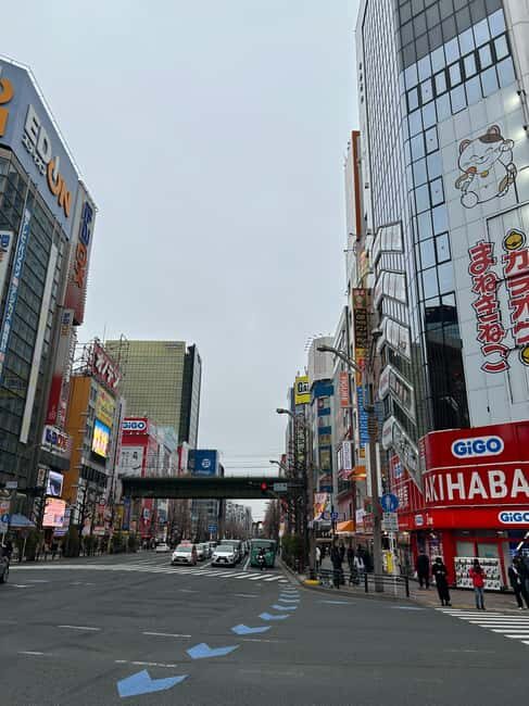 Private Trip to Sightseeing Spots in Eastern Tokyo. - Authentic Insights from Other Travelers