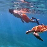 Private Turtle Spotting Snorkeling Excursion in Aruba - FAQ