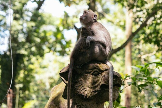 Private Ubud Day Tour Waterfalls Sacred Monkeys and Rice Fields - Testimonials from Travelers
