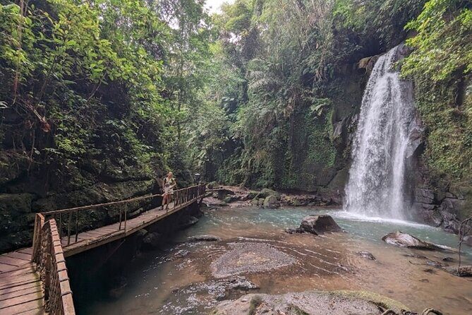 Private Ubud Tour with Monkey Forest and Waterfall - Authentic Experiences and Personal Touches