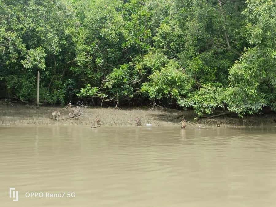 Private Unseen Mangrove Forest and Floating & Railway Market - Logistics and Practicalities