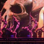 Private:Coco Bongo Experience from Punta Cana - The Sum Up: Who Is This Experience Perfect For?