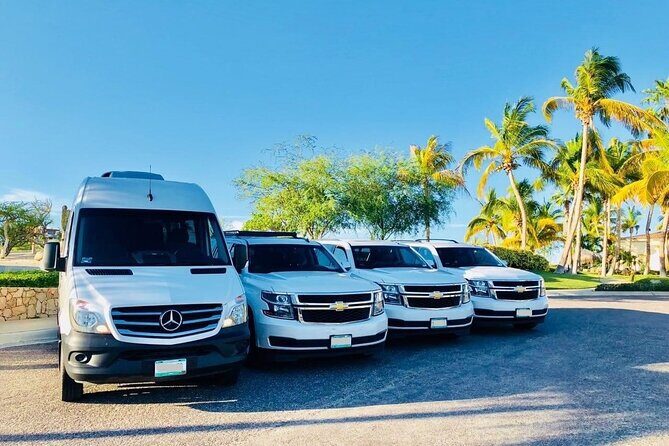 Providenciales to Caicos Providenciales Airport (PLS) - Transfer - The Details of the Experience