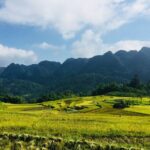 Pu Luong Nature Reserve & Ninh Binh Escape 3 Days Tour From Hanoi - The Value and Practicalities