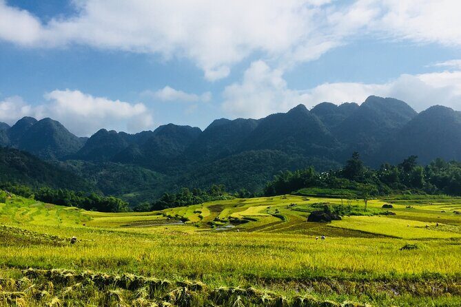 Pu Luong Nature Reserve & Ninh Binh Escape 3 Days Tour From Hanoi - The Value and Practicalities