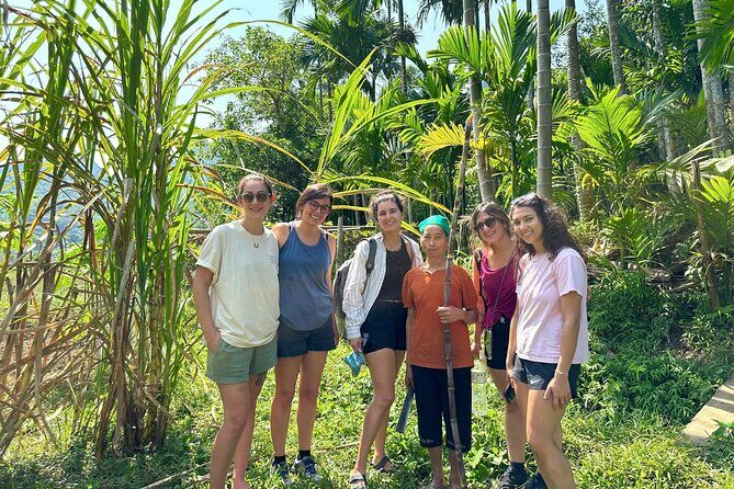 Pu Luong Nature Reserve on The Immersive 2-day, 1-night Adventure - The Full Lowdown on Pu Luong Nature Reserve Tour