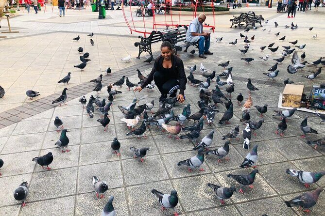 Puerto Plata Cultural City Tour  Half Day Experience - Final Thoughts