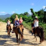 Puerto Plata: Damajagua Waterfalls, Zipline & Horse Ride - Who Should Consider This Tour?
