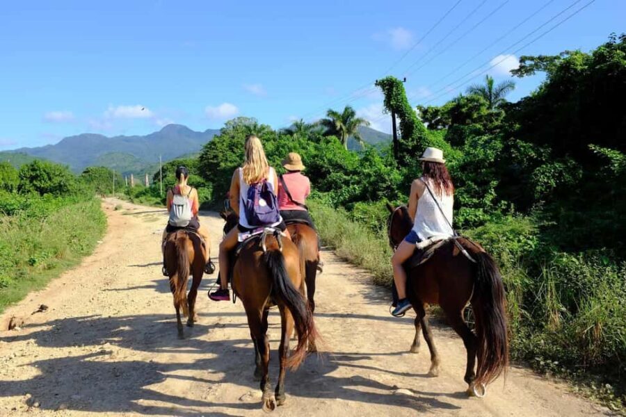 Puerto Plata: Damajagua Waterfalls, Zipline & Horse Ride - Who Should Consider This Tour?