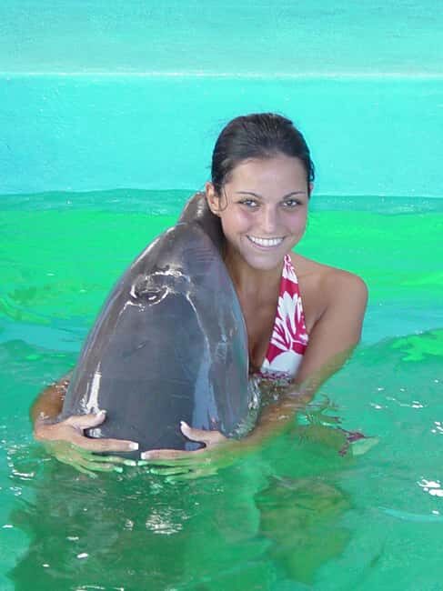 Puerto Plata: Dolphin Encounter at Ocean World - The Itinerary: What to Expect at Each Step