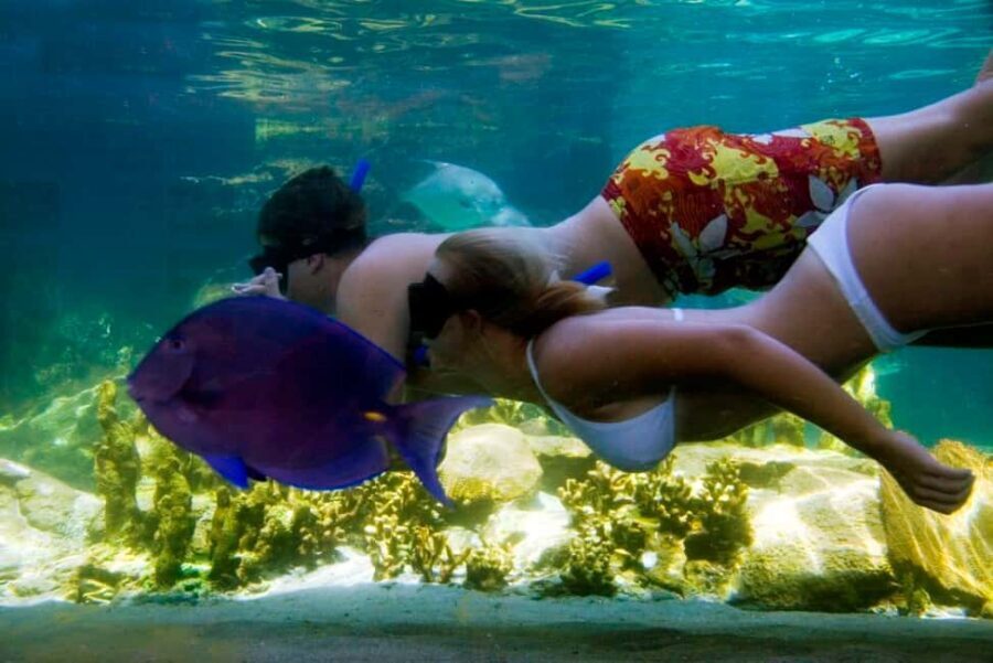 Puerto Plata: Ocean World Adventure Park Day Pass - What You Can Expect at Ocean World Puerto Plata