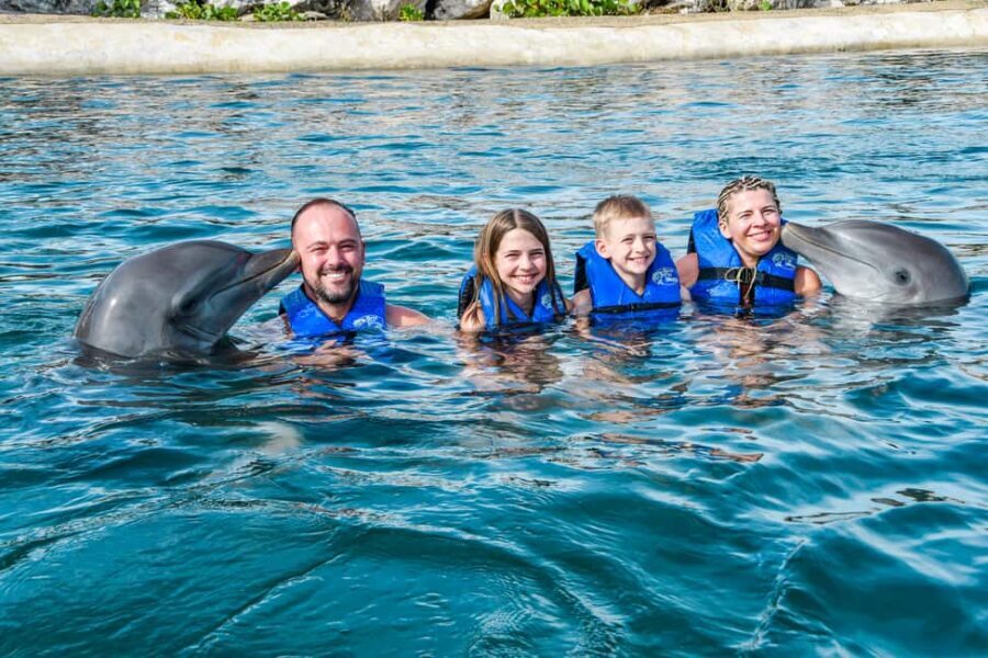 Puerto Plata: Ocean World Adventure Park Swim with Dolphins - Practical Details: Transportation, Duration, and Cost