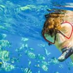 Puerto Plata: Sosúa Bay Snorkeling Tour with Guide - The Guide Experience