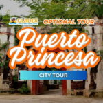 Puerto Princesa: City Highlights Half-Day Tour - What to Expect: The Experience in Detail