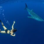 Puerto Princesa: Swim with Whale Sharks Boat Cruise - Who Will Love This Tour?