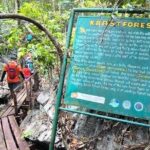 Puerto Princesa Underground River Guided Trekking Tour - Practical Details and Tips