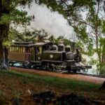 Puffing Billy Railway: Heritage Steam Train Journey - Authentic Experience with a Personal Touch