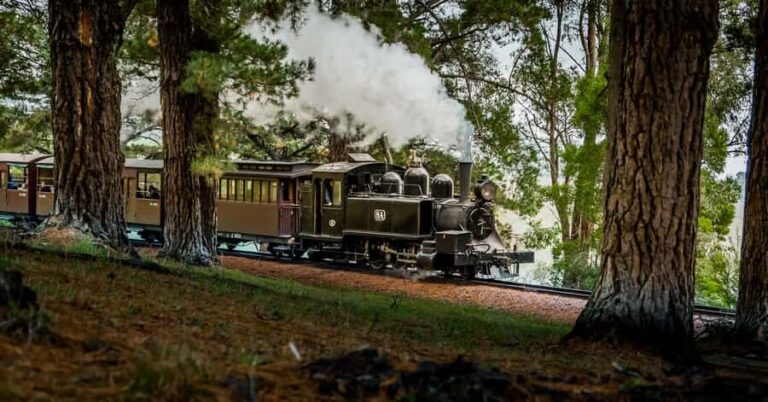 Puffing Billy Railway: Heritage Steam Train Journey - Authentic Experience with a Personal Touch