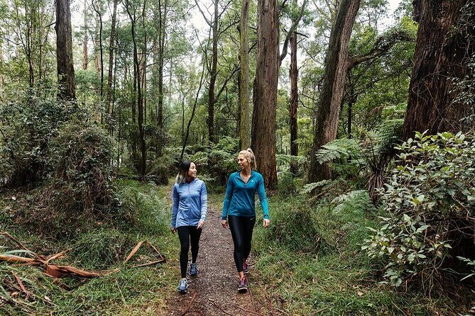 Puffing Billy & Rainforest Tour from Melbourne - What’s Included & What’s Not