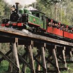 Puffing Billy Train and Phillip Island Penguin Parade Day Tour - Transportation and Group Dynamics