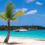 Punta Cana: Catalina Island Catamaran, Lunch and Snorkel - Practical Tips & Considerations