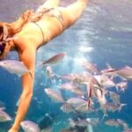Punta Cana: Catalina Island Snorkeling Tour with Lunch - The Logistics and Practical Details