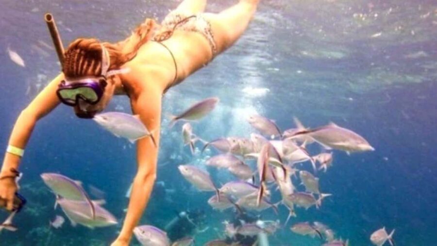 Punta Cana: Catalina Island Snorkeling Tour with Lunch - The Logistics and Practical Details