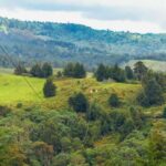 Punta Cana: Domitai Park Zipline, Buggy & Cenote Tour - Detailed Breakdown of the Tour