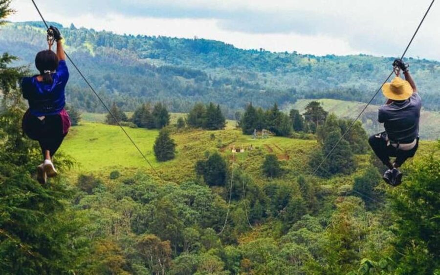 Punta Cana: Domitai Park Zipline, Buggy & Cenote Tour - Detailed Breakdown of the Tour