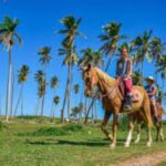 Punta Cana: El Limón Horseback Ride, ATV, and Beach Tour - Transportation & Group Size