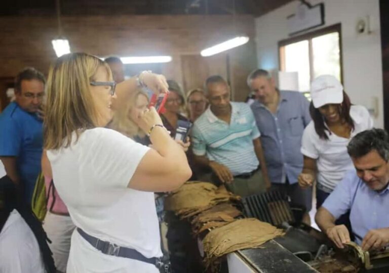 Punta Cana: Horseback Riding Adventure Free Hotel Pickup - What to Expect from the Experience