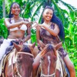 Punta Cana: Horseback Riding Tour with Beach Visit - Final Thoughts: Who Will Love This Tour?