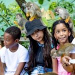 Punta Cana: Monkeyland Half-Day Tour with Snacks and Guide - Why This Tour Is a Great Choice