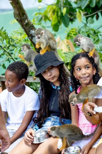 Punta Cana: Monkeyland Half-Day Tour with Snacks and Guide - Why This Tour Is a Great Choice