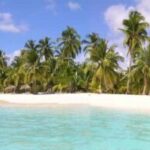 Punta Cana: Saona Island Day Trip with Open Bar and Lunch - Who Would Love This Tour?