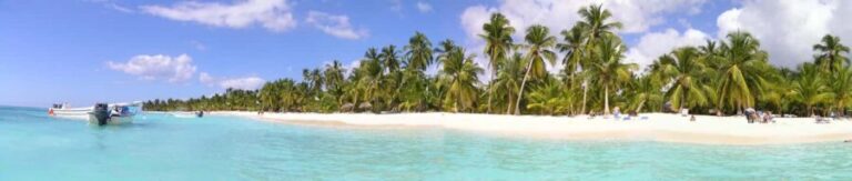 Punta Cana: Saona Island Day Trip with Open Bar and Lunch - Who Would Love This Tour?
