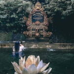 Purification Ceremony, Kehen Temple and Goa Raja Waterfall Tour - Practical Details and What to Expect