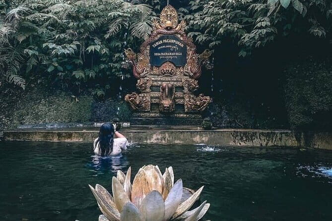 Purification Ceremony, Kehen Temple and Goa Raja Waterfall Tour - Practical Details and What to Expect